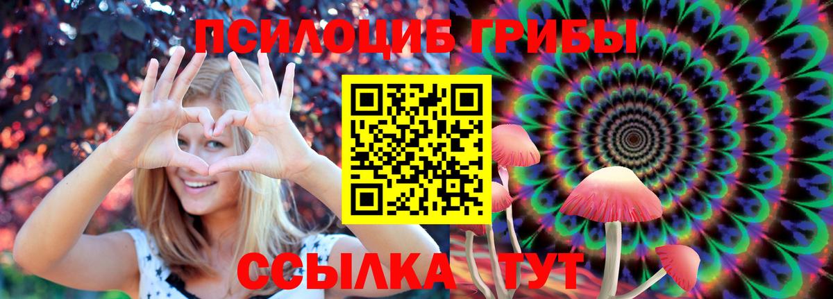 Галлюциногенные грибы GOLDEN TEACHER  Вход с VPN  Менделеевск 